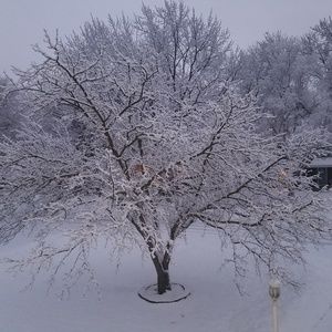 Meet your Posher, Nickolas